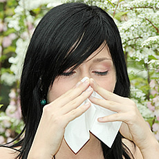 Küzd le az allergiád.