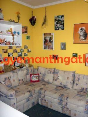 Eladó családi ház, Szekszárd 3200376