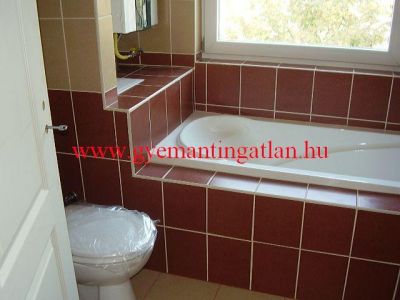 Érd Parkváros eladó új építésű ikerházfél.