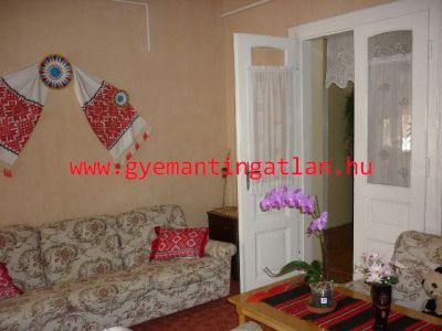 GAZDÁLKODÁSRA IS ALKALMAS CSALÁDI HÁZ ZOMBÁN!