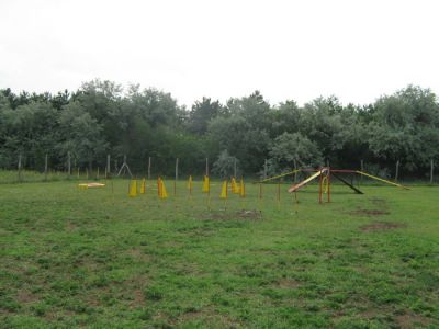  Kutyaiskola bérlés