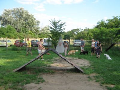  Kutyaiskola bérlés