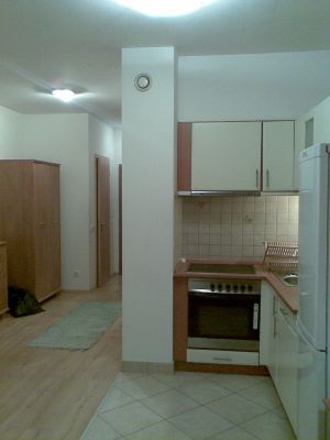 Kiadó 1 szobás új lakás az Operánál