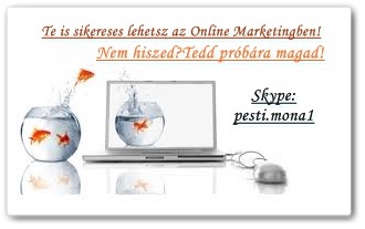 Vállalkozó szellemű munkatársakat keresünk otthoni munkához