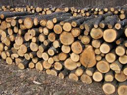 Tűzifa eladó Erdélyből Szállítással, Magyarország egész területén