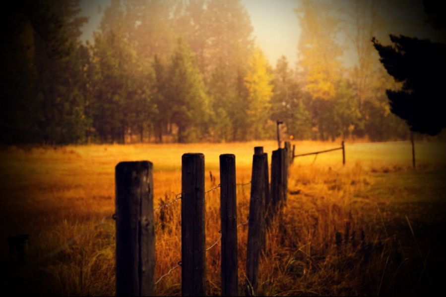 Aranykalászos gazda OKJ-s tanfolyam Szécsényben