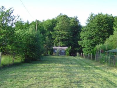Sürgősen eladó ősfás telek, téliesített, komfortosított faházzal