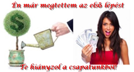 Üzleti lehetőség!