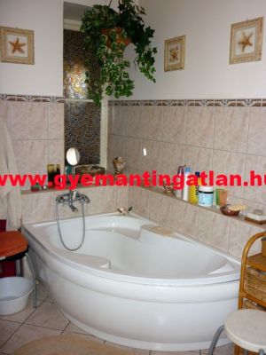 Eladó szép, egyedi családi ház Tengelic 3200396