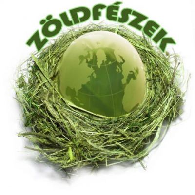 Energia felhasználási tanácsadókat kersünk
