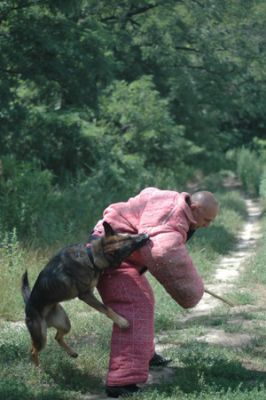  Kutyakiképzés-Kutyaközpont