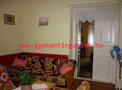 GAZDÁLKODÁSRA IS ALKALMAS CSALÁDI HÁZ ZOMBÁN!