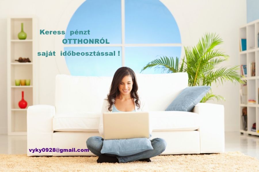 Internetes otthoni munka másodállásban.