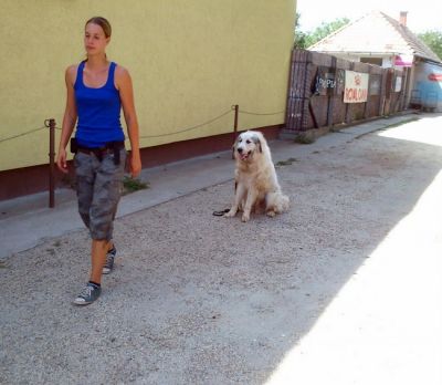  Kutyakiképzés-Kutyaközpont