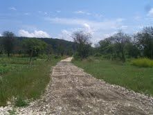 Eladó gyümölcsös telek Nagykovácsiban