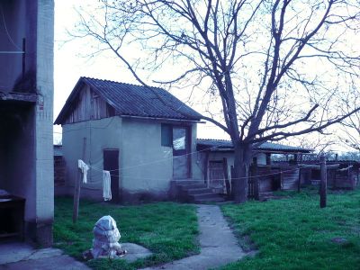 Tiszajenőn családi ház eladó