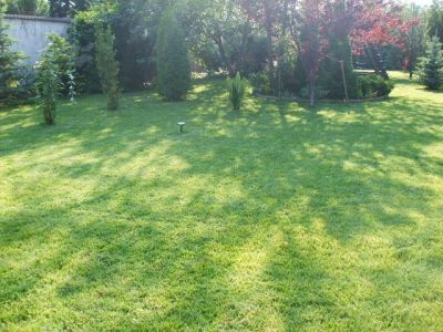 Kertgondozást vállalunk!