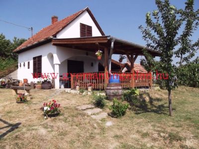 Eladó ingatlan Szekszárd Palánki-hegy tanya