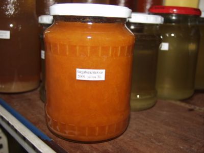 Házilekvár_háziszörp