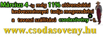 Sövénykerítések