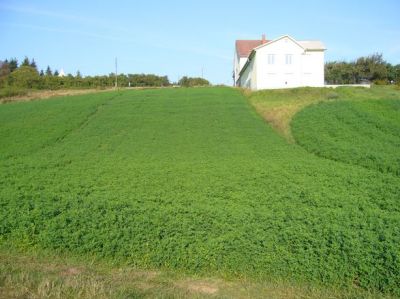 Bp-hez közel eladó panorámás telek
