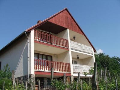 Balatoni nyaraló olcsón kiadó!