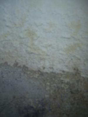 Penész, gomba, salétrom? Oldjuk meg!