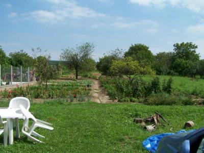 Eladó családi ház Gödöllõn a belvárostól nem messze