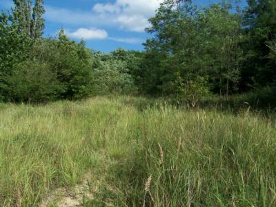 Veresegyház örök panorámás részén, Hegyekben építési telek eladó! 