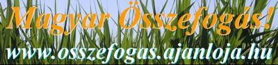 Magyar Összefogás