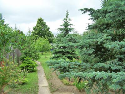 Veresegyház Reveteki részen családi ház eladó! 
