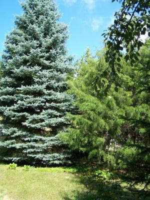 Erdõkertesen jó állapotú családi ház eladó! 