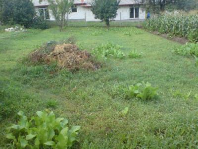 Szadán fõ út mellett, kétszintes családi ház bérbeadó!  