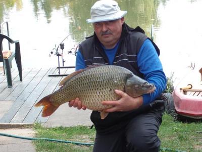 A körösparton vízparti nyaraló kiadó kiváló adottságokkal.