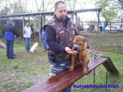 Kutyakiképzés-Kferi