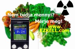 Geiger-Müller számláló