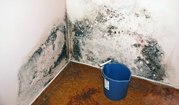 Penészes fal, vizes fal, nedves fal