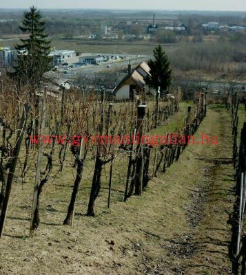 Szekszárdon, 46 nm-es, 1 szobás tanya eladó!