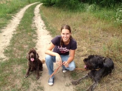 Kutyakiképzés-Családi kutya