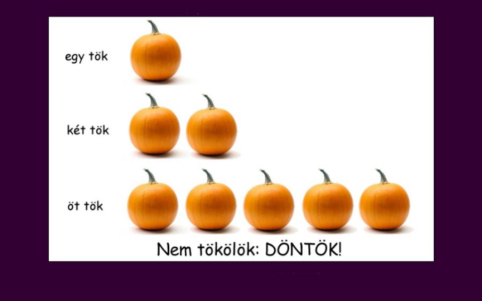 Az online világban már bizonyított!