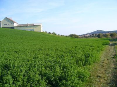 Bp-hez közel eladó panorámás telek