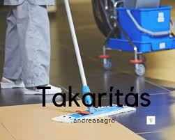 Szobalány, Szobainas (8 fő)