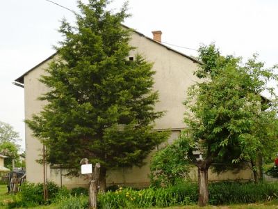 Tiszajenőn családi ház eladó
