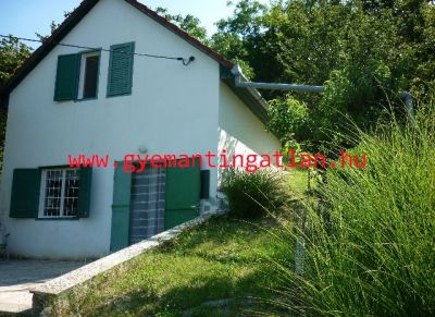 Eladó ingatlan Szekszárd Jobb-parászta tanya szőlővel 3200417 