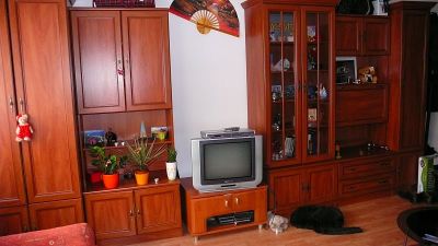 Kiadó 1 szobás új lakás a XIV.kerületben