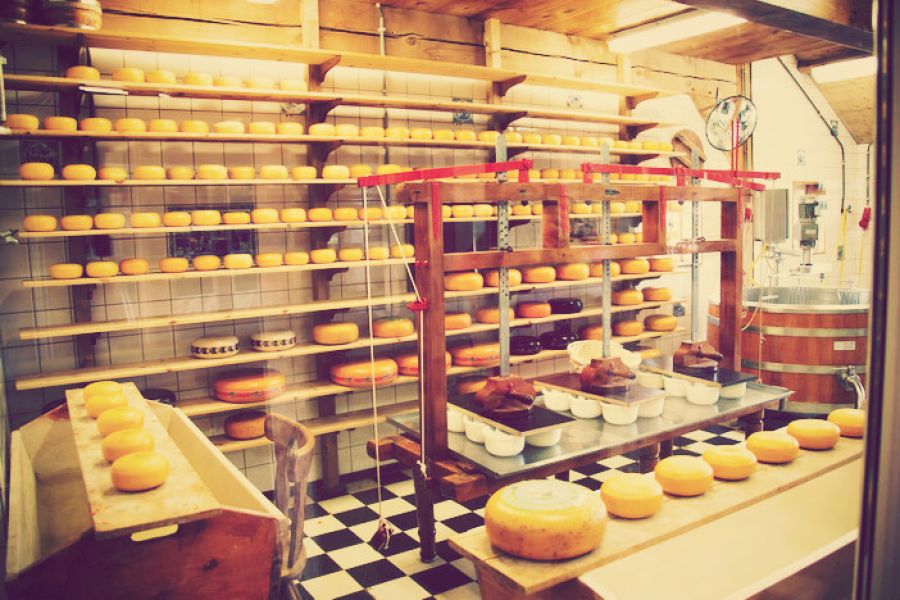 Budapesti Sajtkészítő OKJ képzés