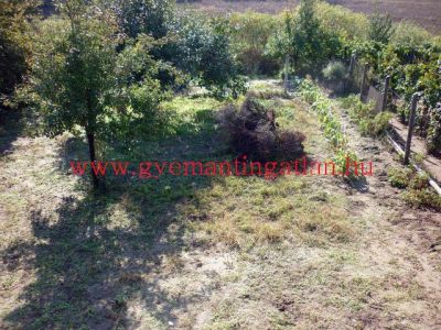 Tolnai 3 szobás családi ház jó áron eladó!