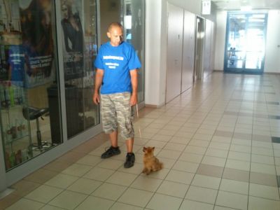  Kutyakiképzés-Kutyaközpont