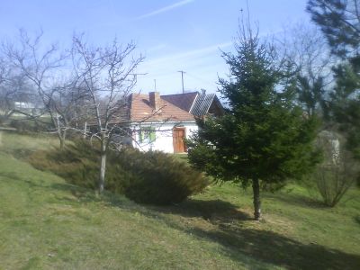 pécs szabolcs faiu szürte ut 15