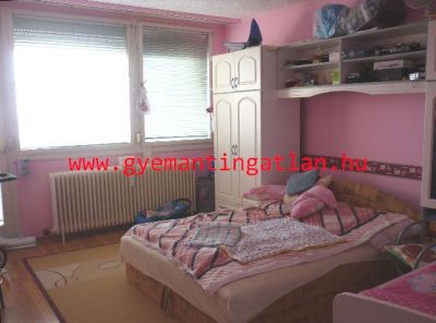 Szekszárd aliscai részén 57 nm-es erkélyes lakás eladó